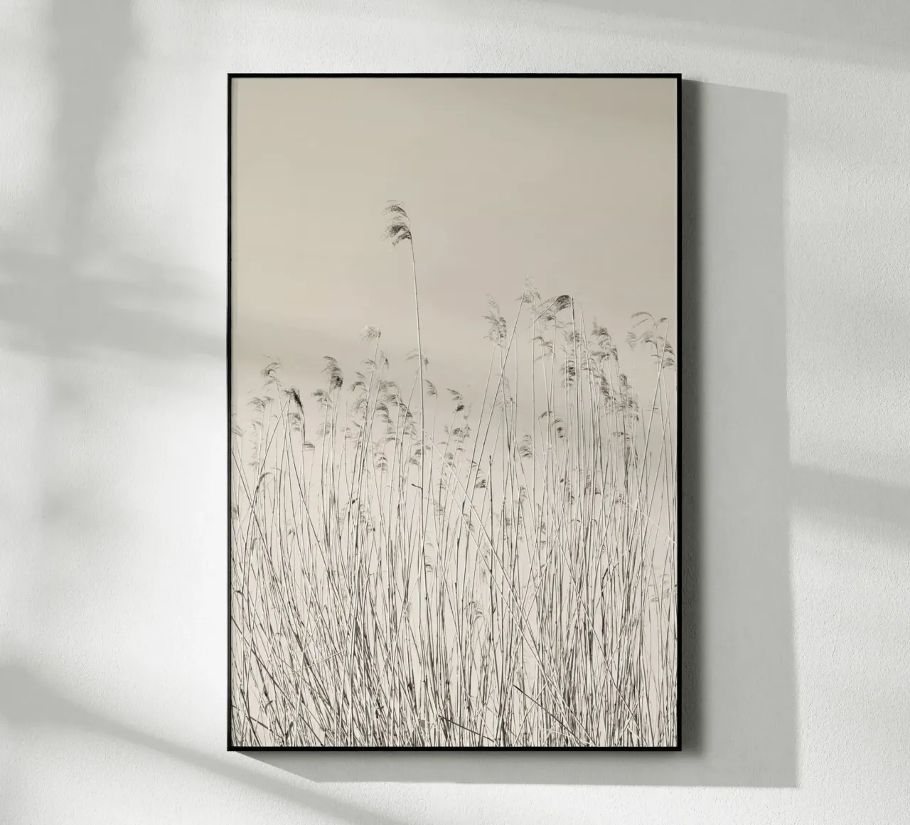 Schilf am See plexiglass da Visuelle Poesie am Wegesrand