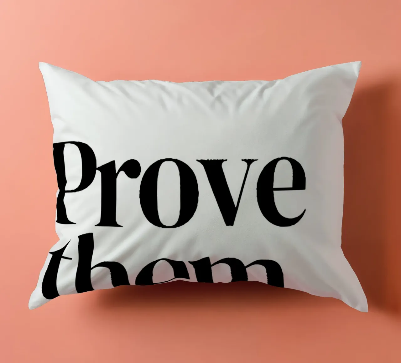 Prove them wrong cuscino da Type & Tape