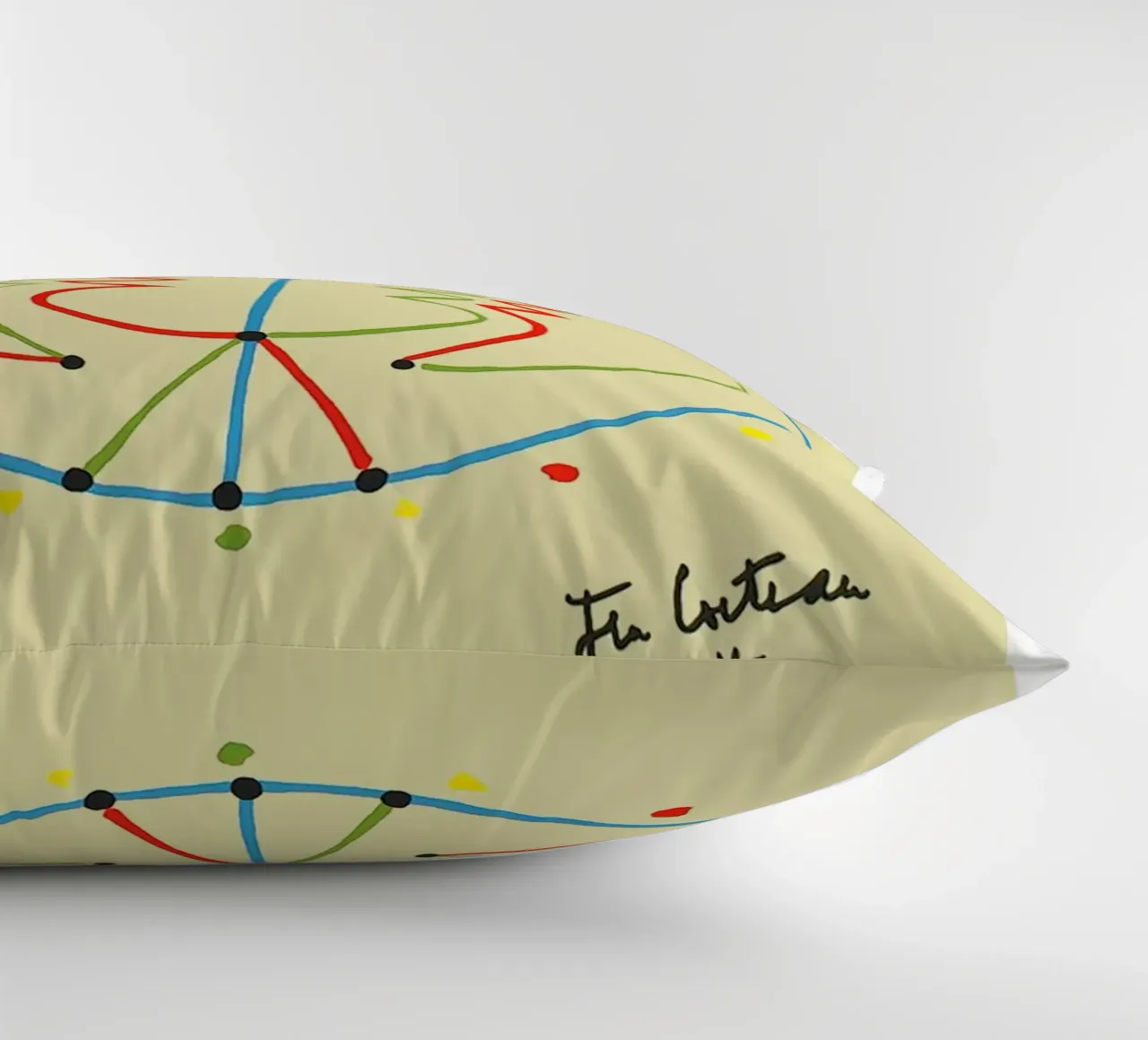 istituto tecnologico jansons cuscino da Collins Shop