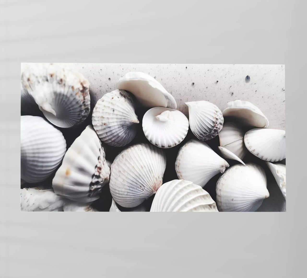 Shells On The Beach pellicola backlit da treechild