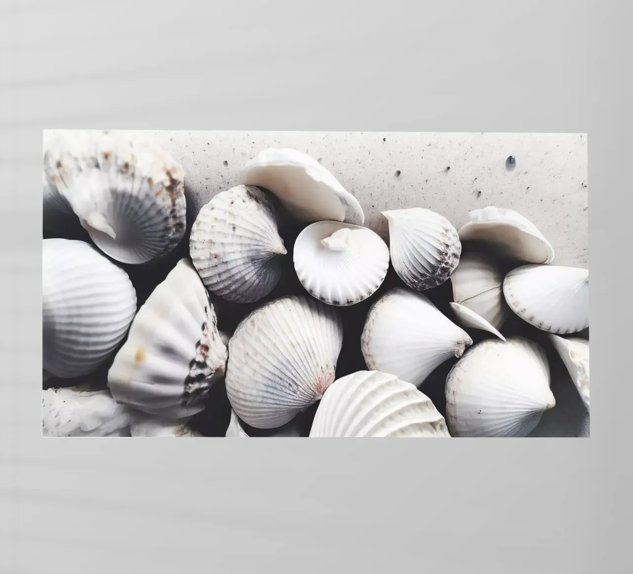Shells On The Beach pellicola backlit da treechild