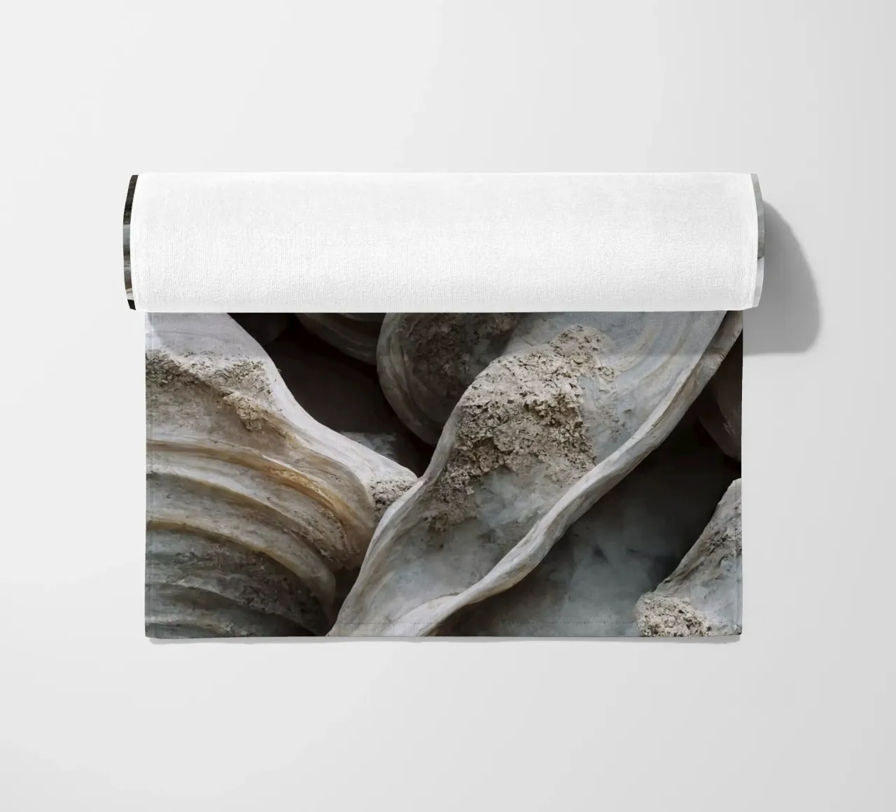 Sea Shells Detail No 2 telo mare da treechild