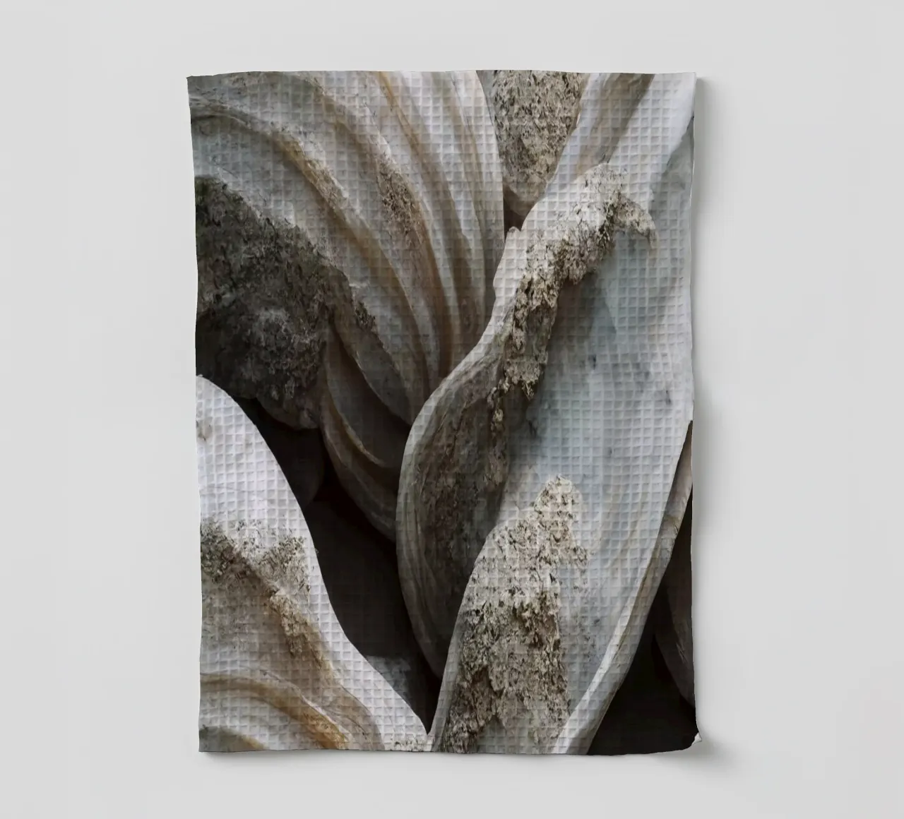 Sea Shells Detail No 2 canovaccio da cucina da treechild