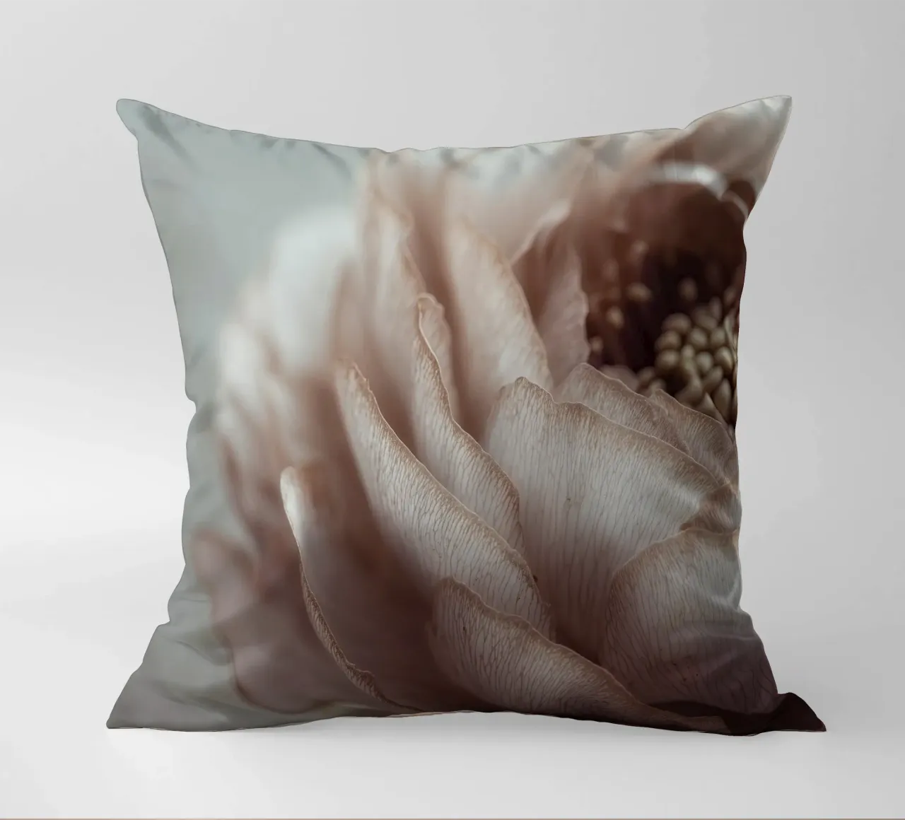 Soft Petals No 01 cuscino da treechild