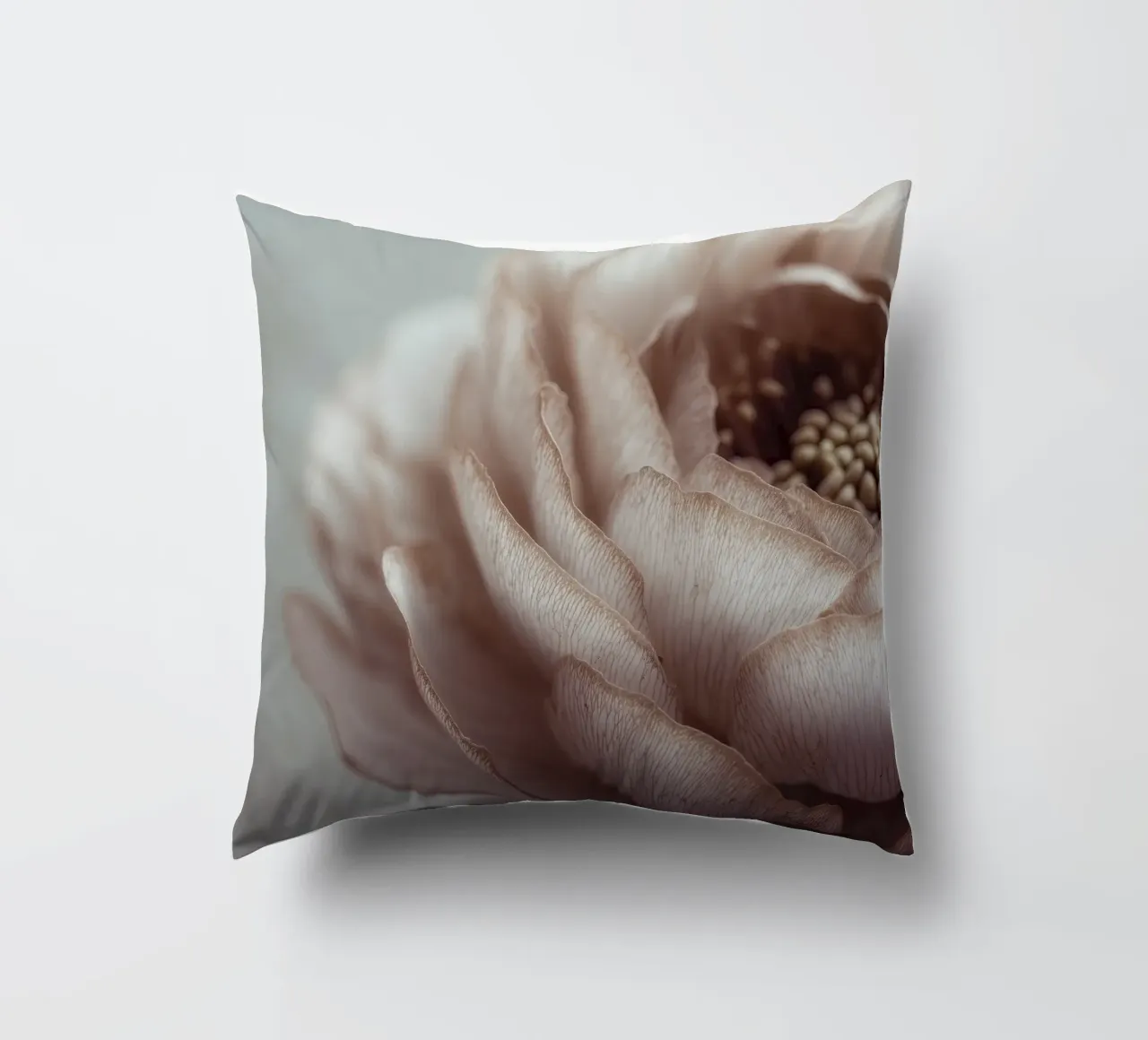 Soft Petals No 01 cuscino da treechild