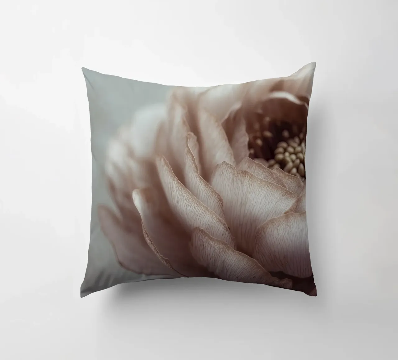 Soft Petals No 01 cuscino da treechild