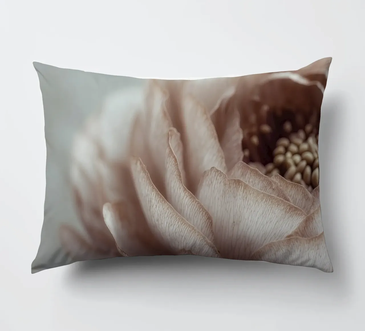 Soft Petals No 01 cuscino da treechild