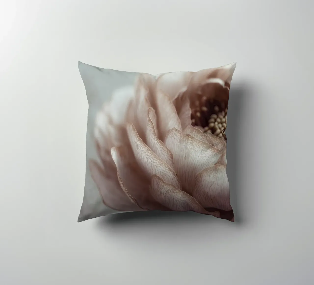Soft Petals No 01 cuscino da treechild
