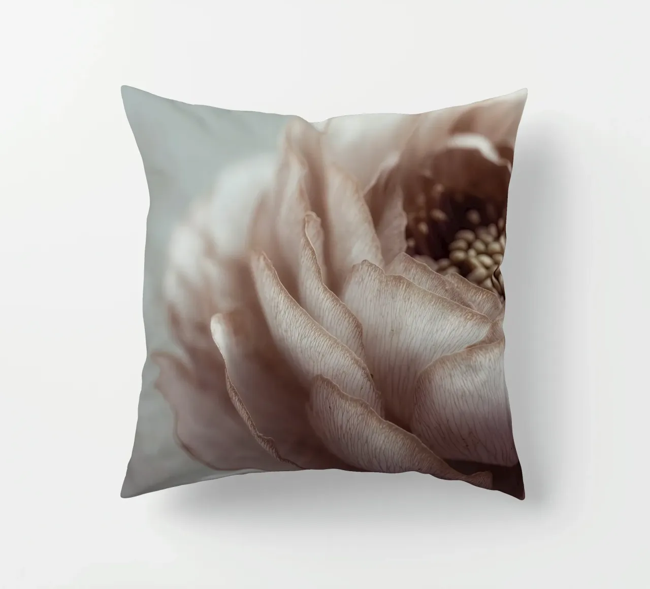 Soft Petals No 01 cuscino da treechild