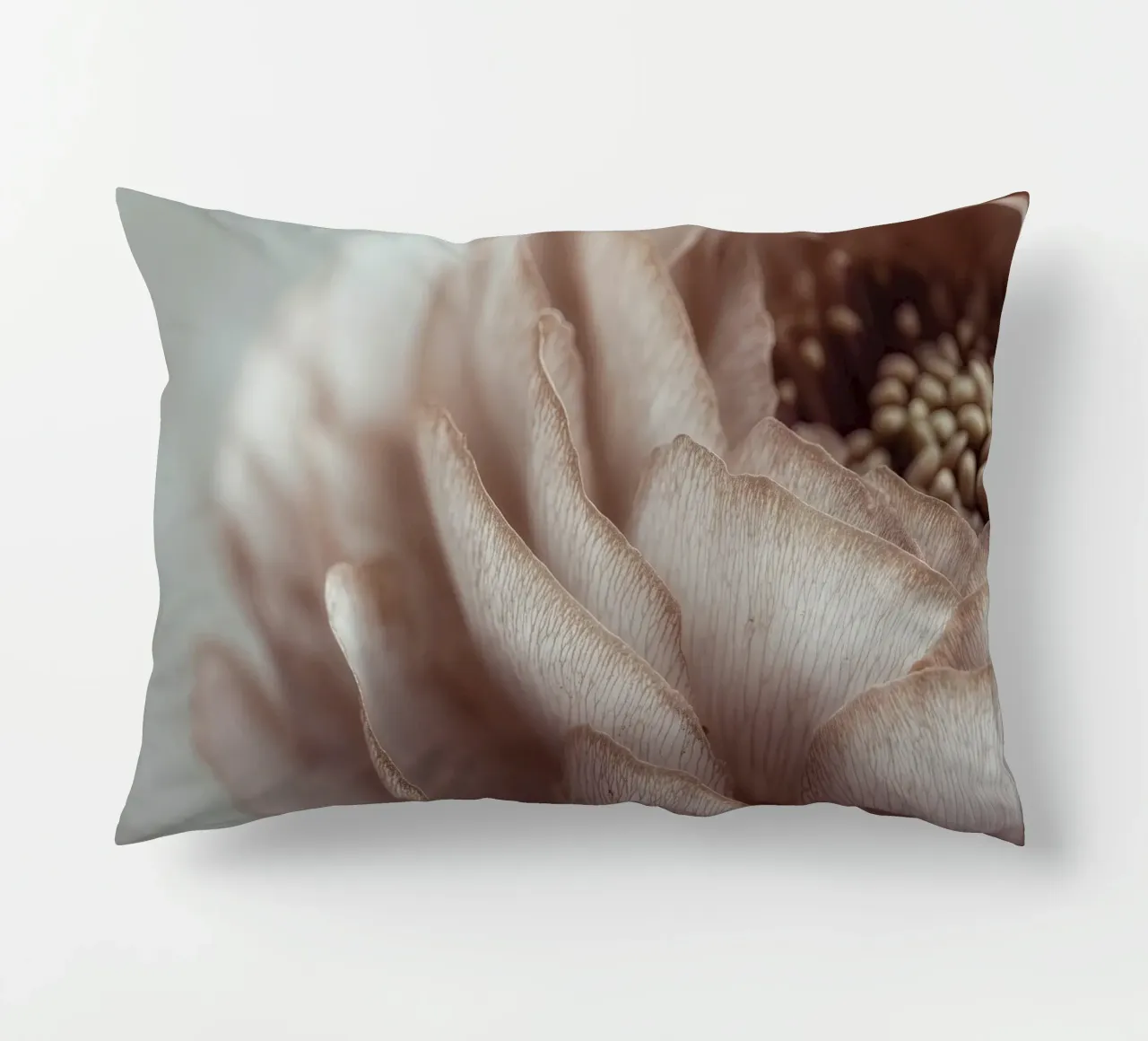 Soft Petals No 01 cuscino da treechild