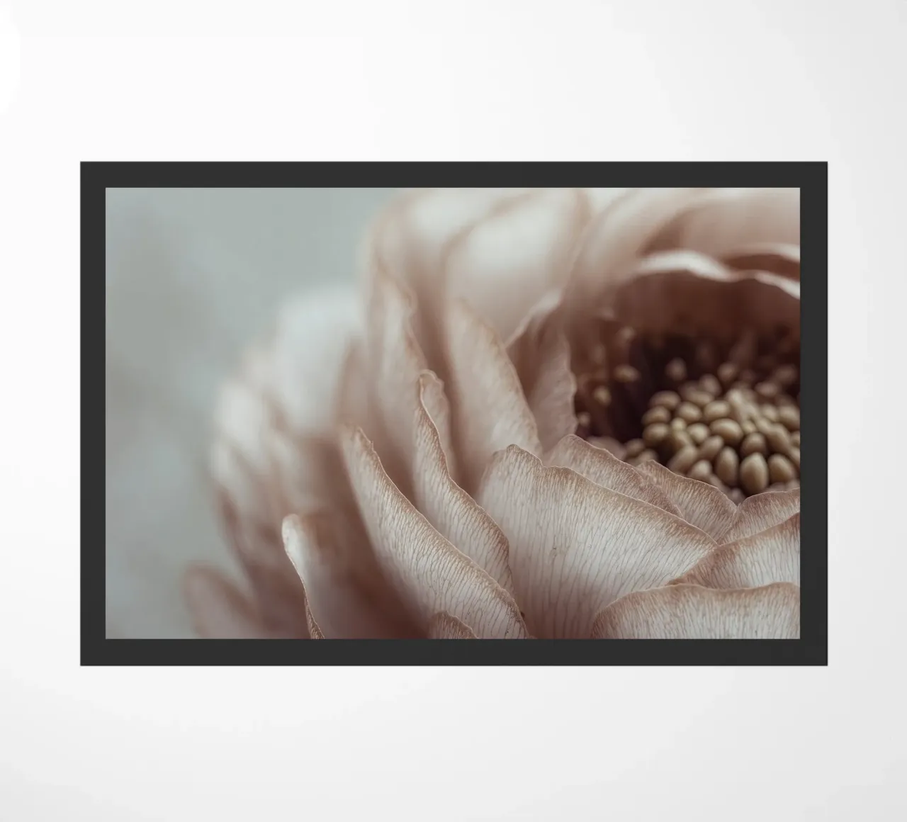 Soft Petals No 01 zerbino da treechild