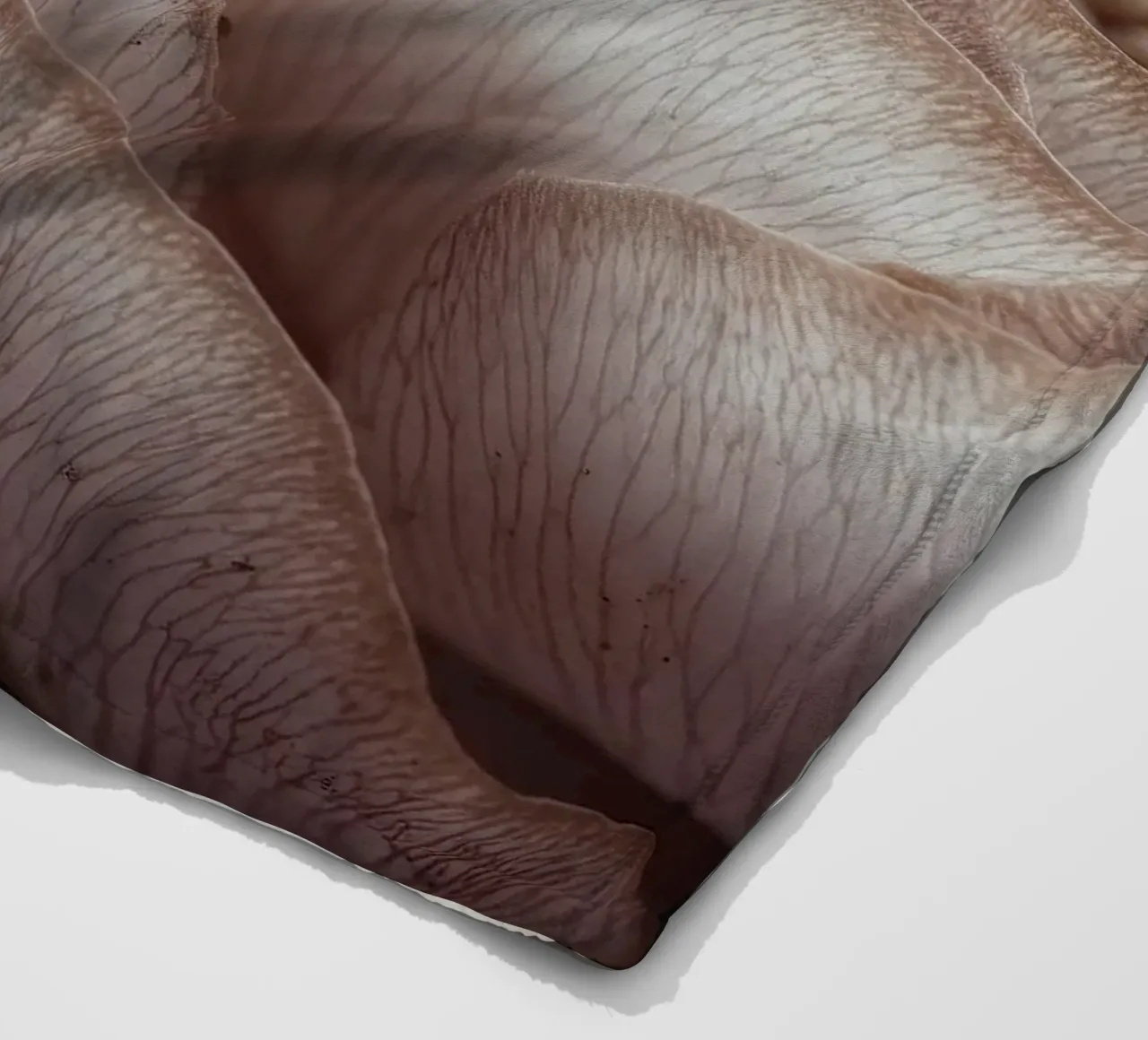 Soft Petals No 01 coperta in pile da treechild