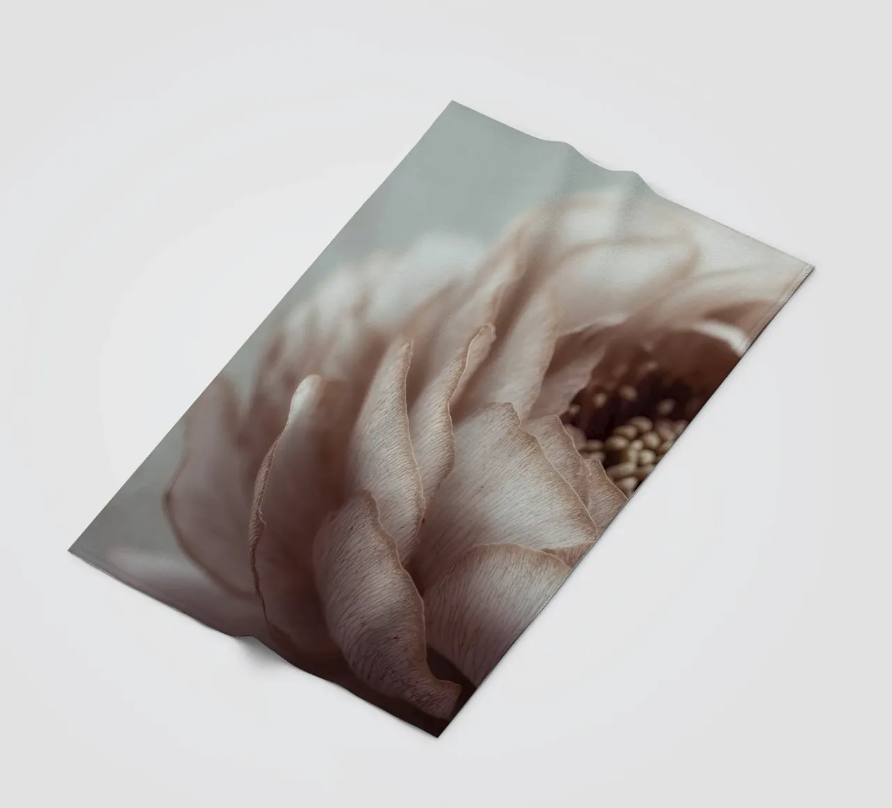 Soft Petals No 01 coperta in pile da treechild
