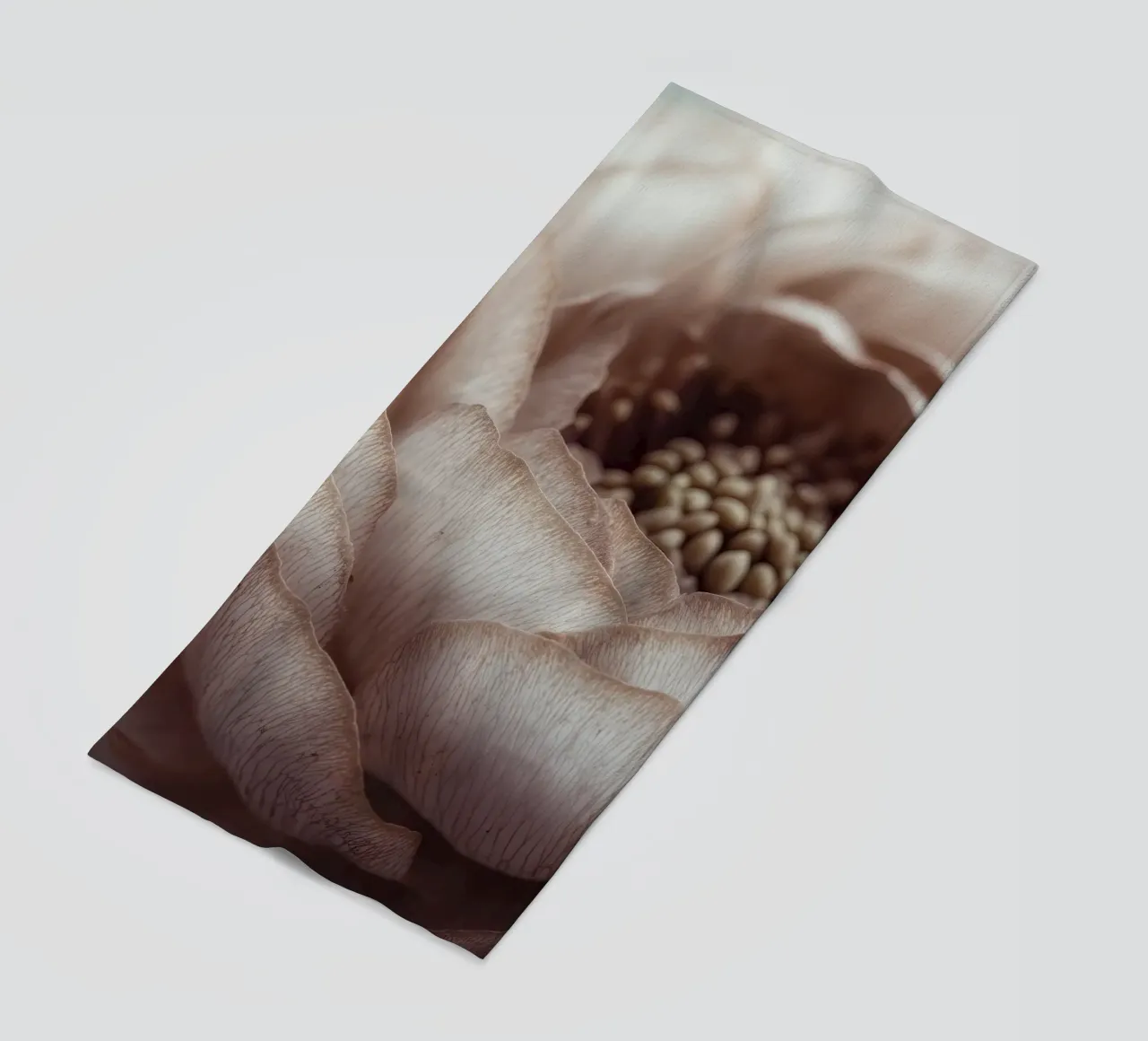 Soft Petals No 01 telo mare da treechild