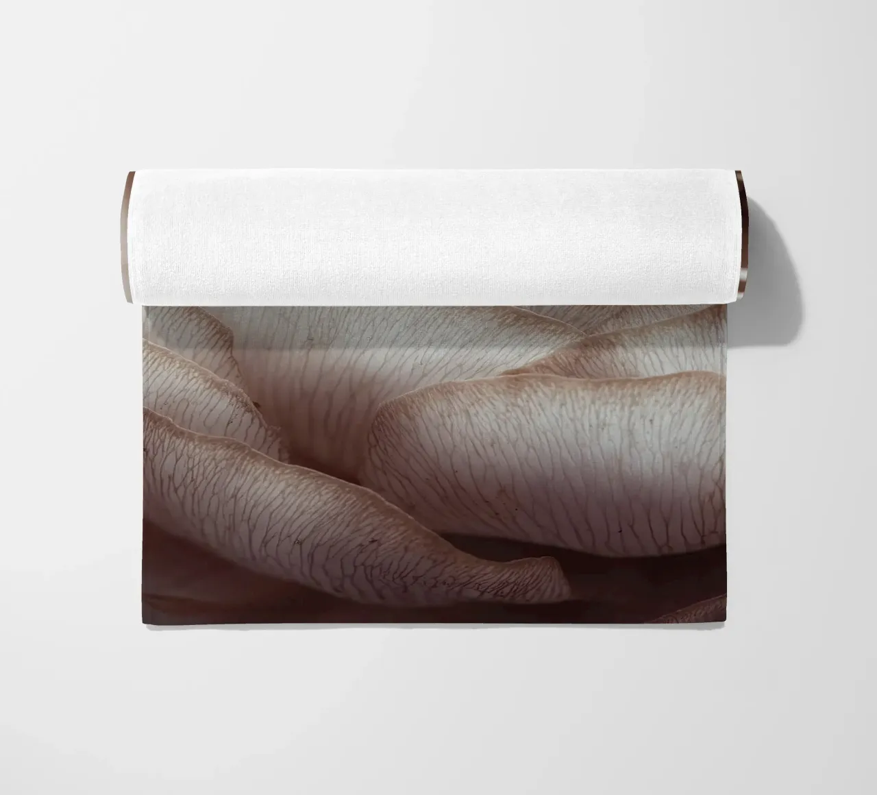 Soft Petals No 01 telo mare da treechild