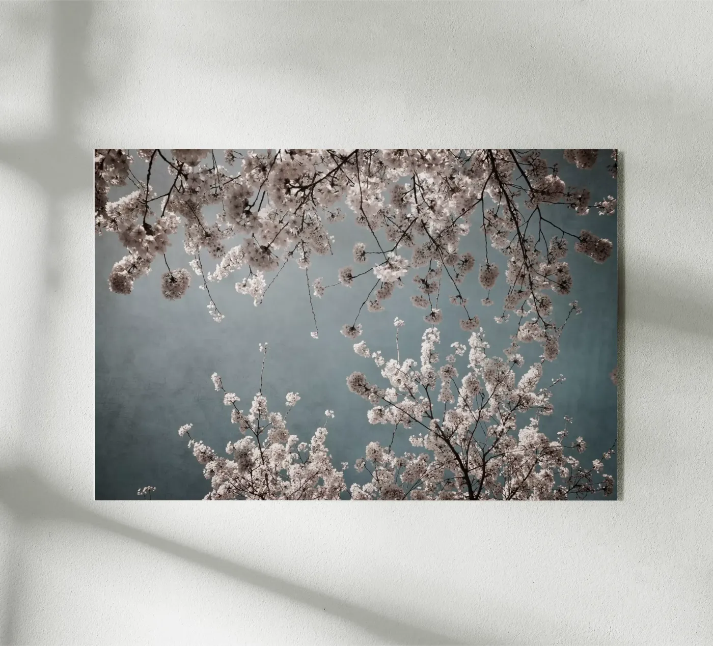 moody spring Acryl-Glas von Visuelle Poesie am Wegesrand