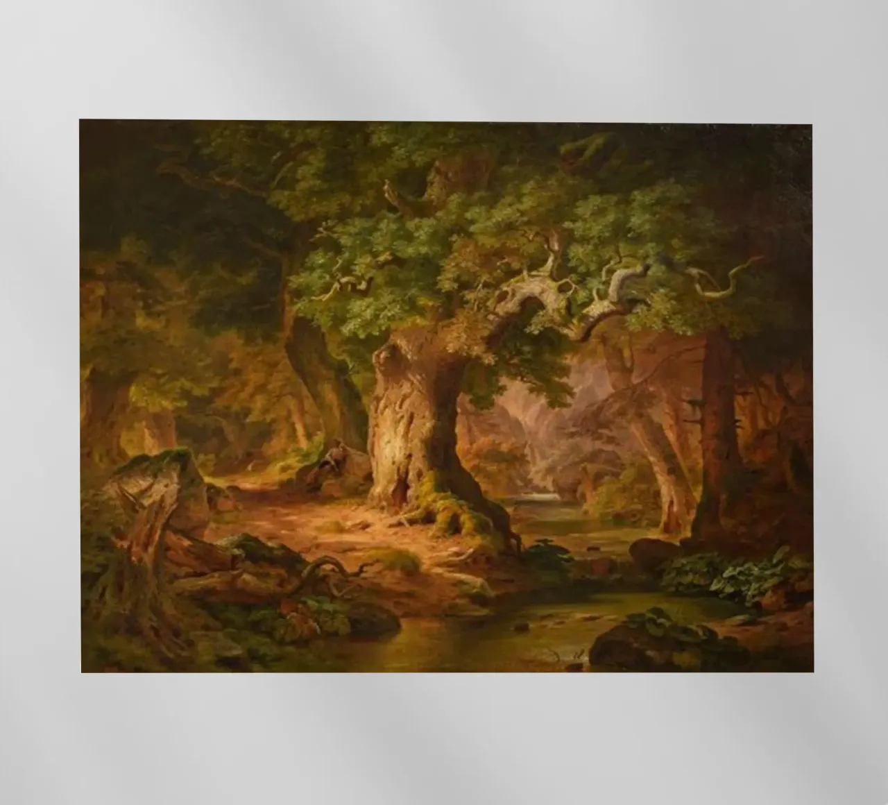 Soli nella foresta - Paul Weber pellicola backlit da Art In The Sky