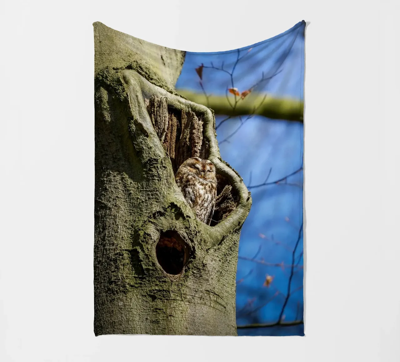 Allocco coperta in pile da Tom's Wildlife