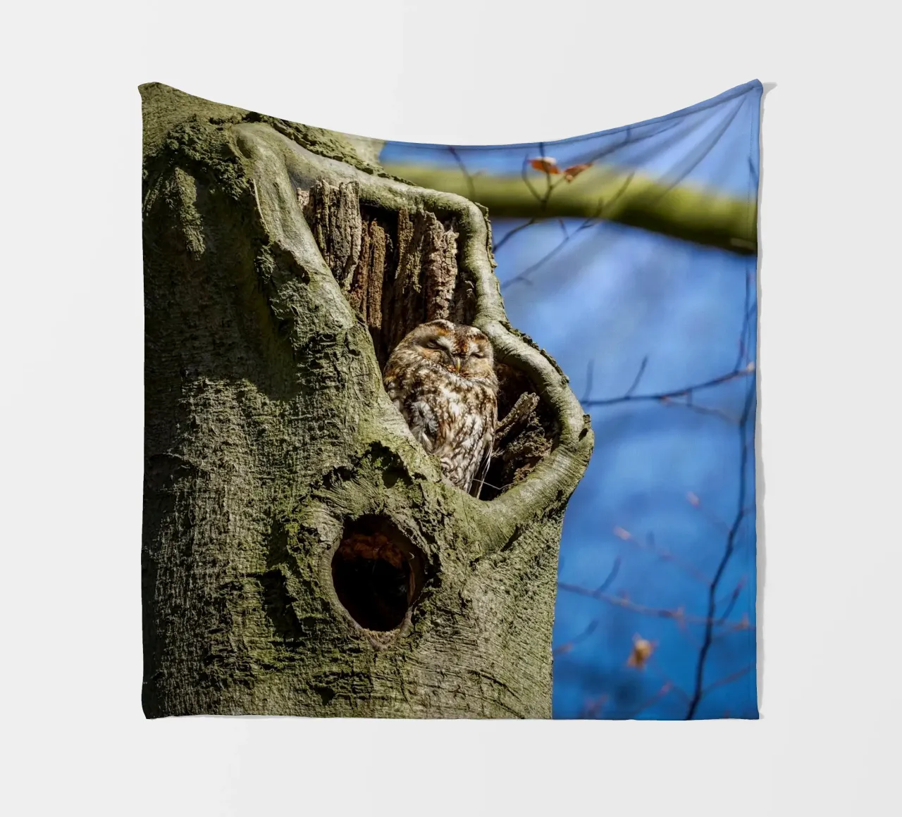 Allocco coperta in pile da Tom's Wildlife