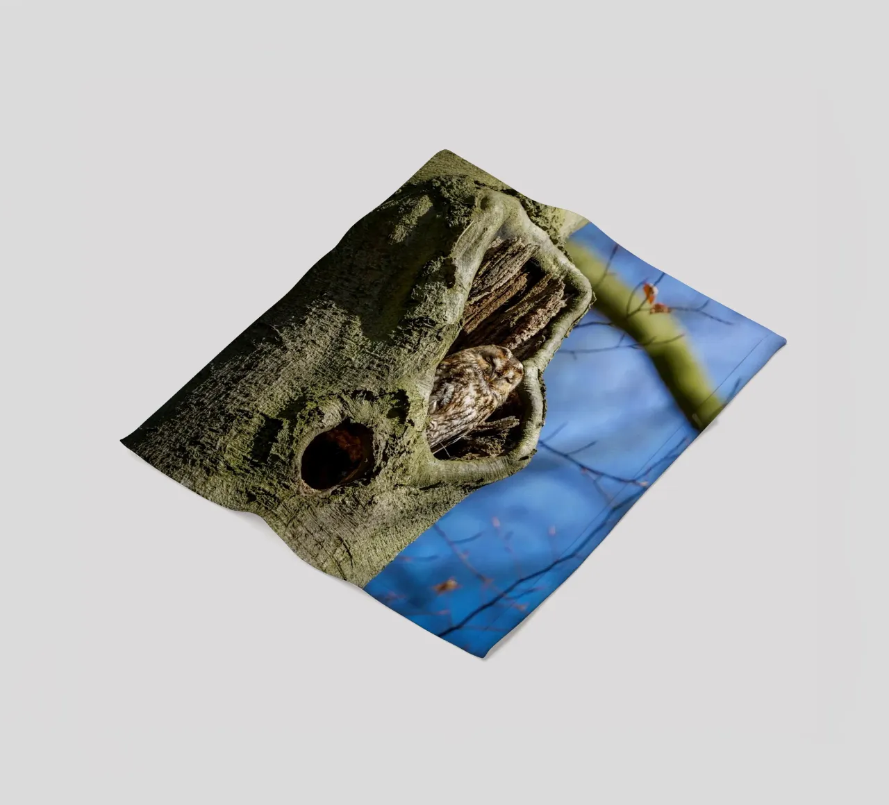 Allocco coperta in pile da Tom's Wildlife