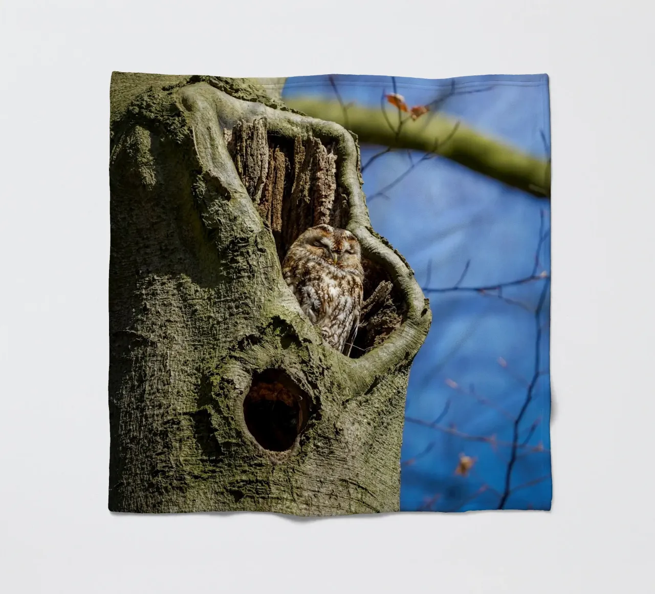 Allocco coperta in pile da Tom's Wildlife