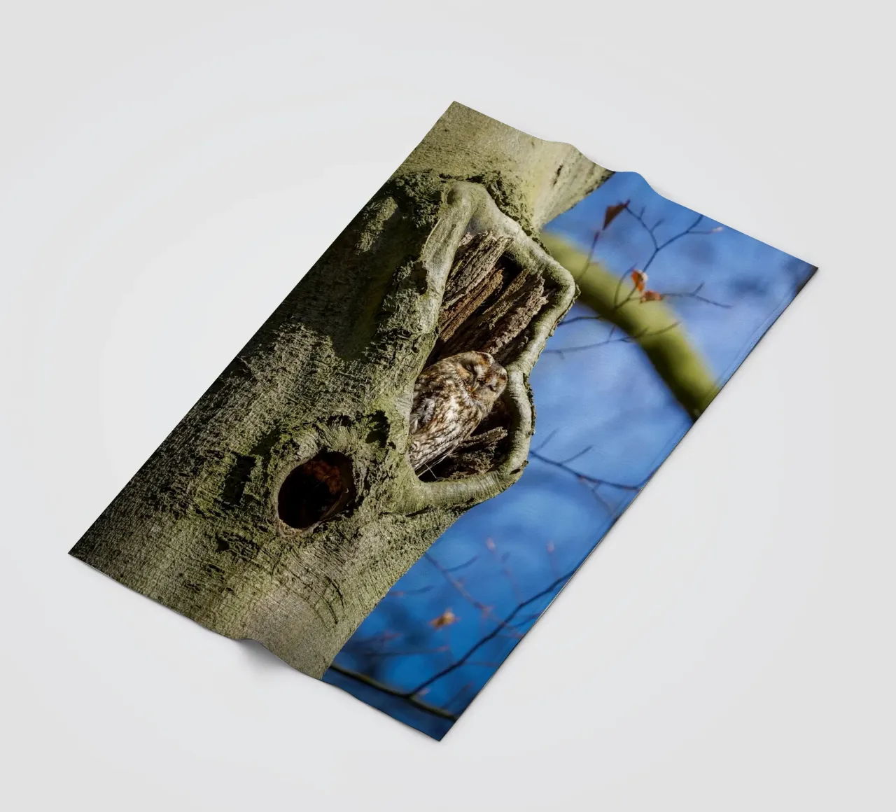 Allocco coperta in pile da Tom's Wildlife