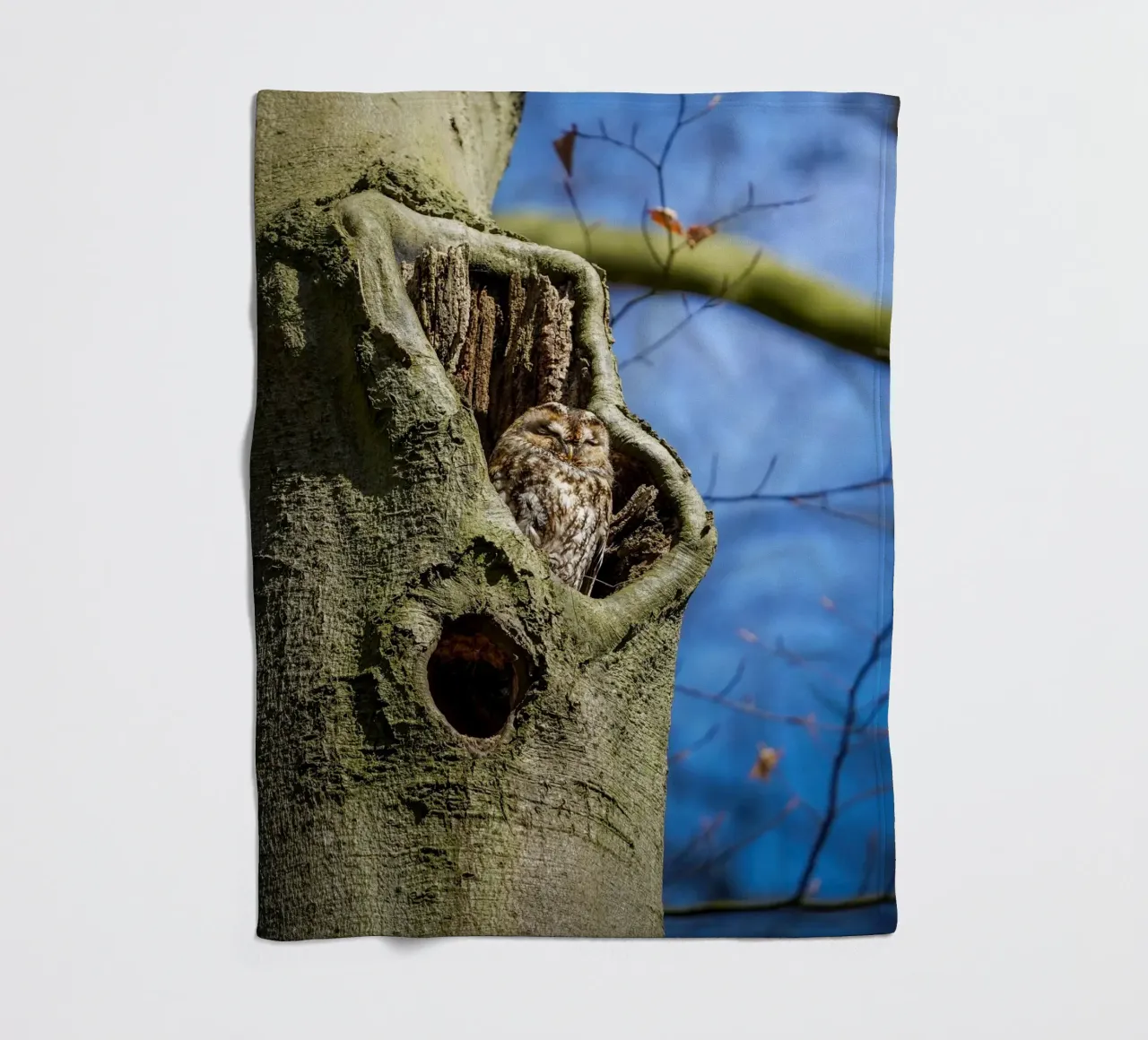 Allocco coperta in pile da Tom's Wildlife