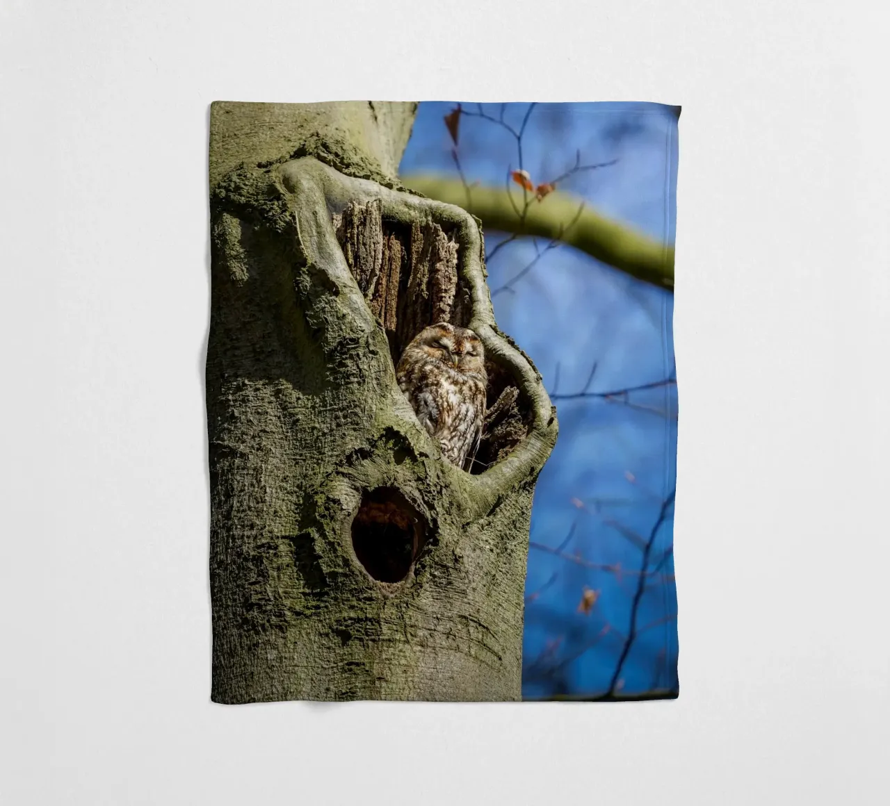 Allocco coperta in pile da Tom's Wildlife