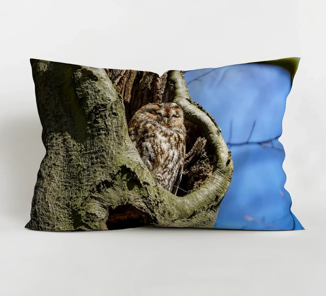 Allocco cuscino da Tom's Wildlife