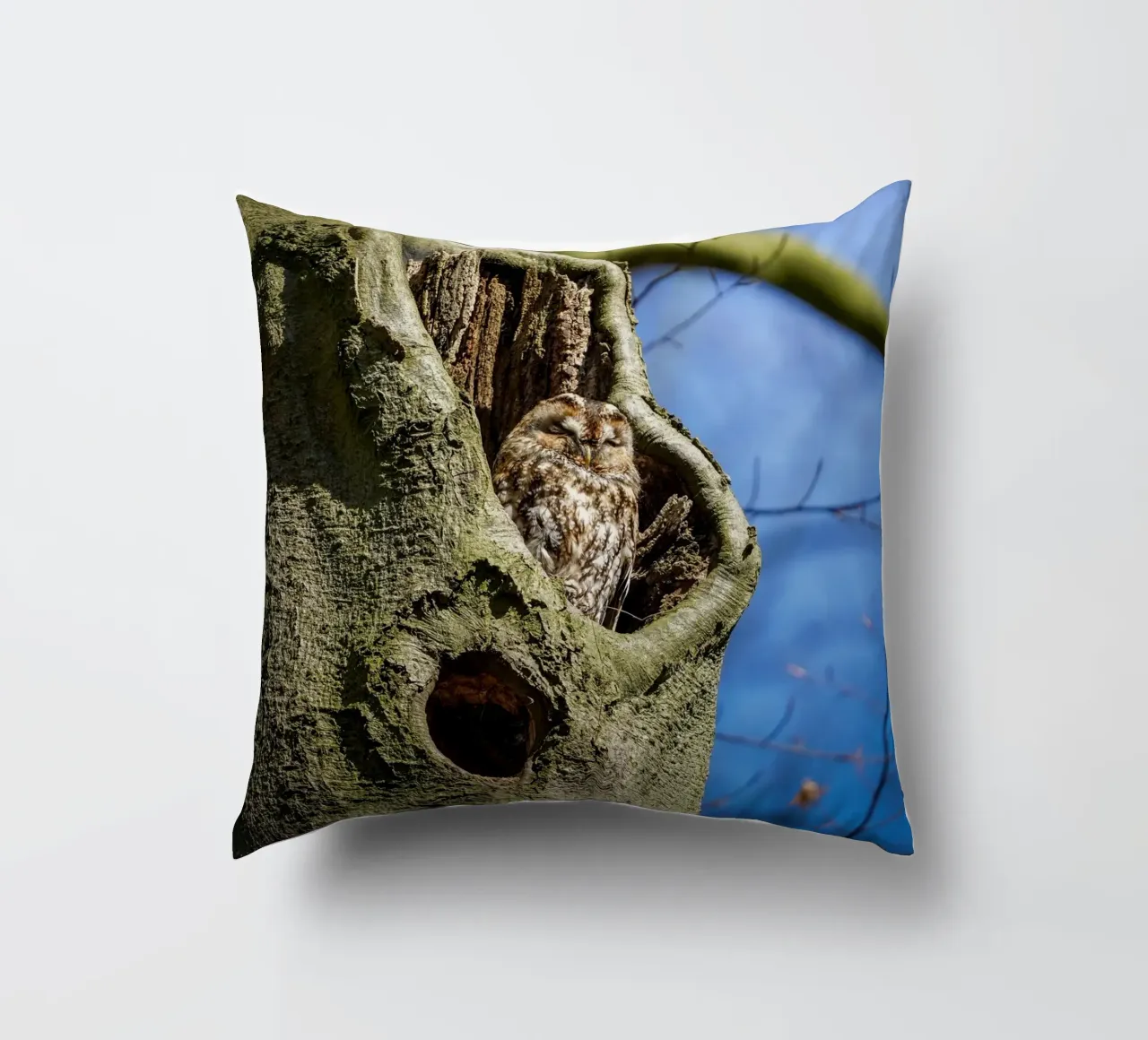 Allocco cuscino da Tom's Wildlife