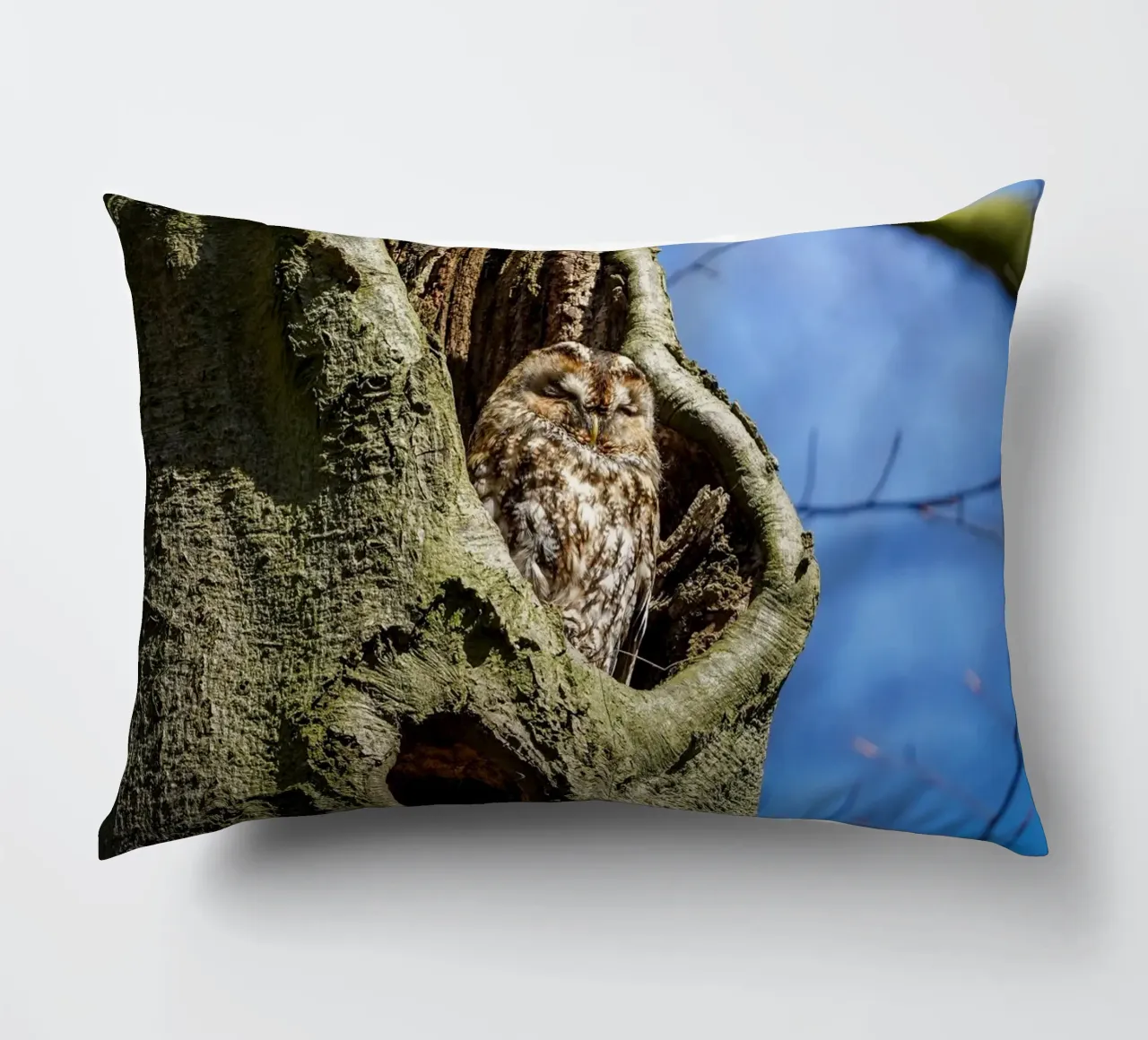Allocco cuscino da Tom's Wildlife