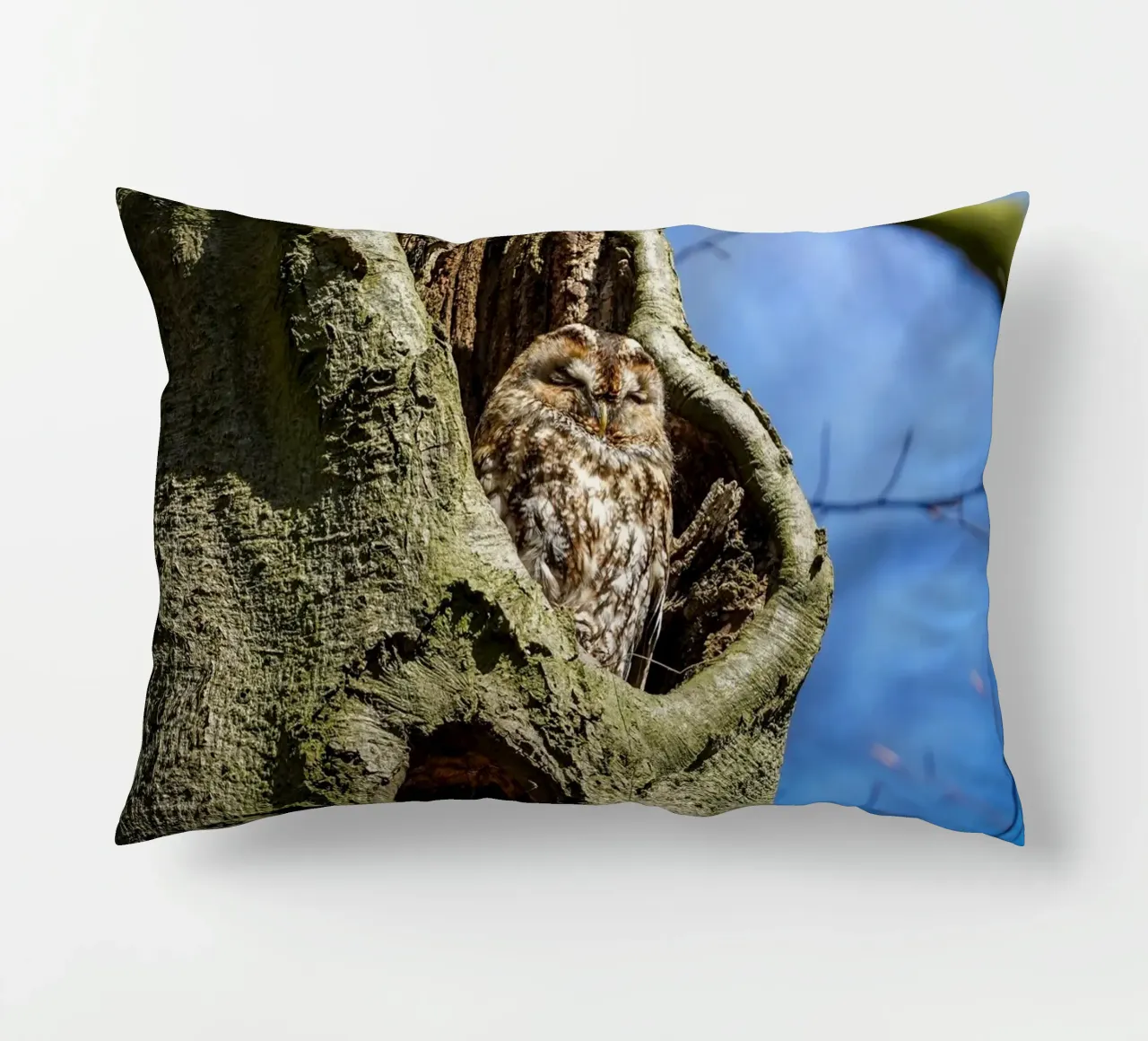 Allocco cuscino da Tom's Wildlife