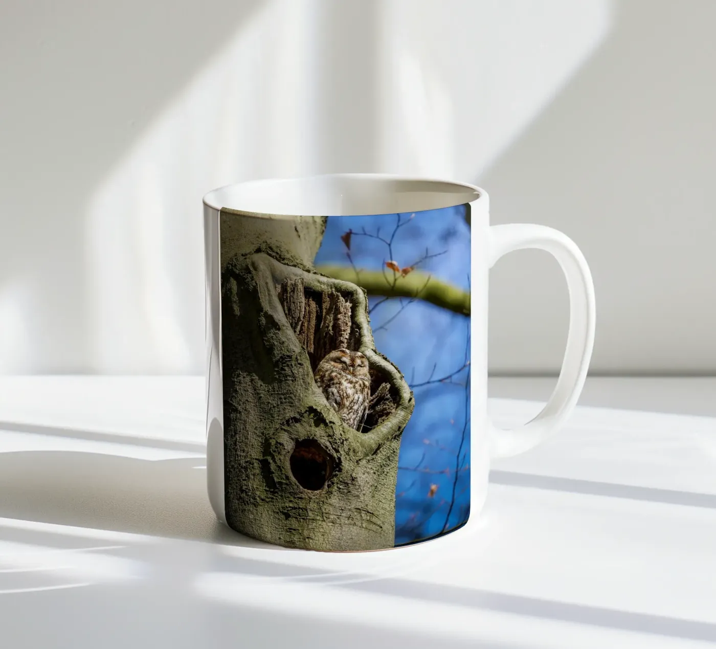 Allocco tazza in ceramica da Tom's Wildlife