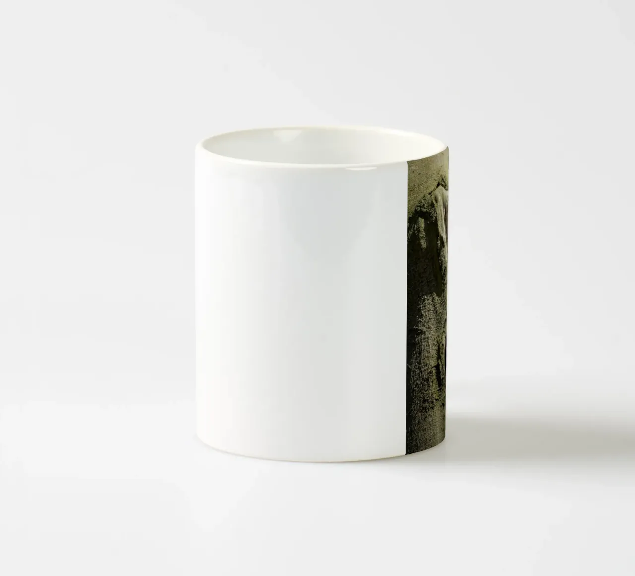 Allocco tazza in ceramica da Tom's Wildlife