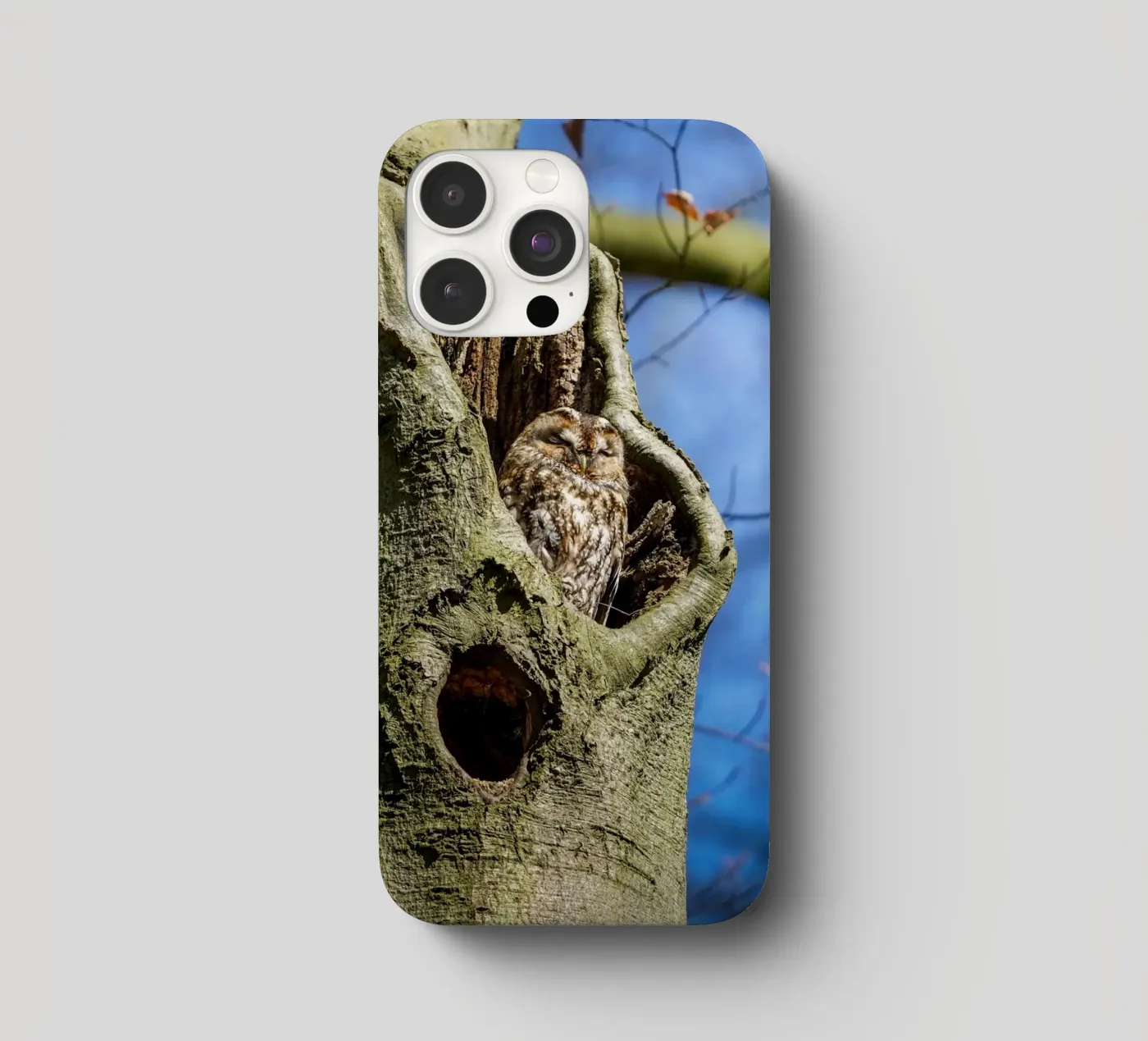 Allocco cover iphone da Tom's Wildlife