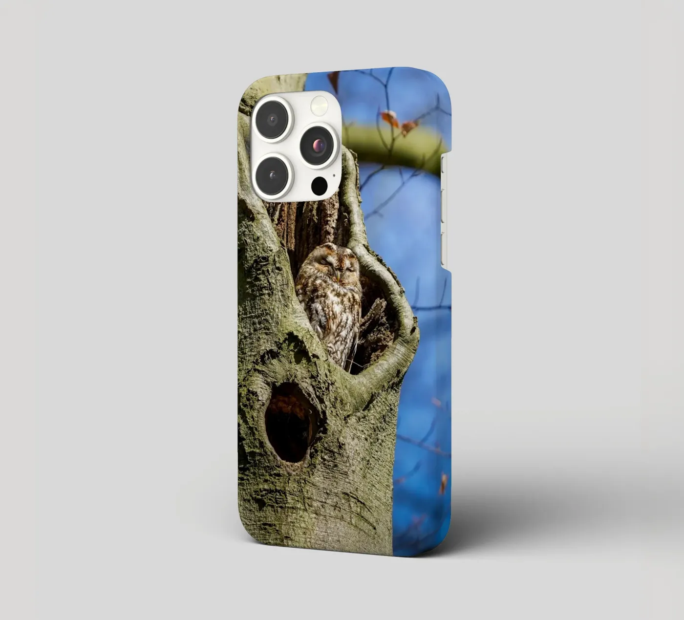 Allocco cover iphone da Tom's Wildlife