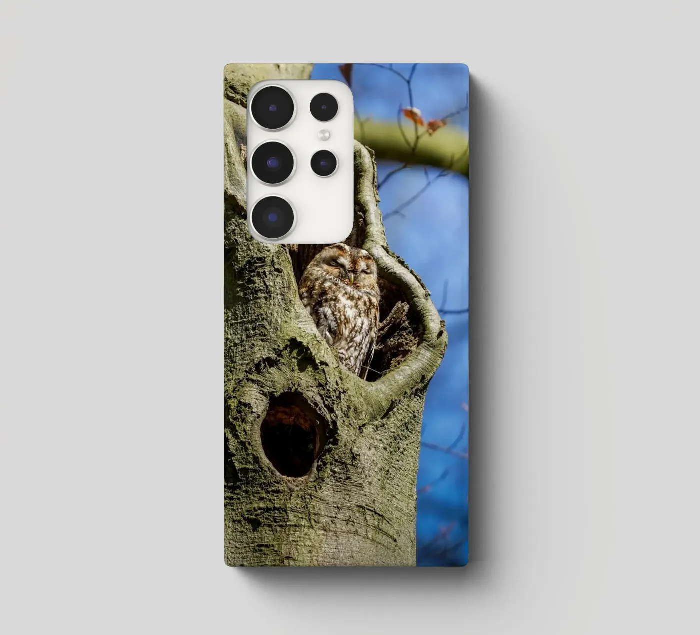 Allocco cover samsung da Tom's Wildlife