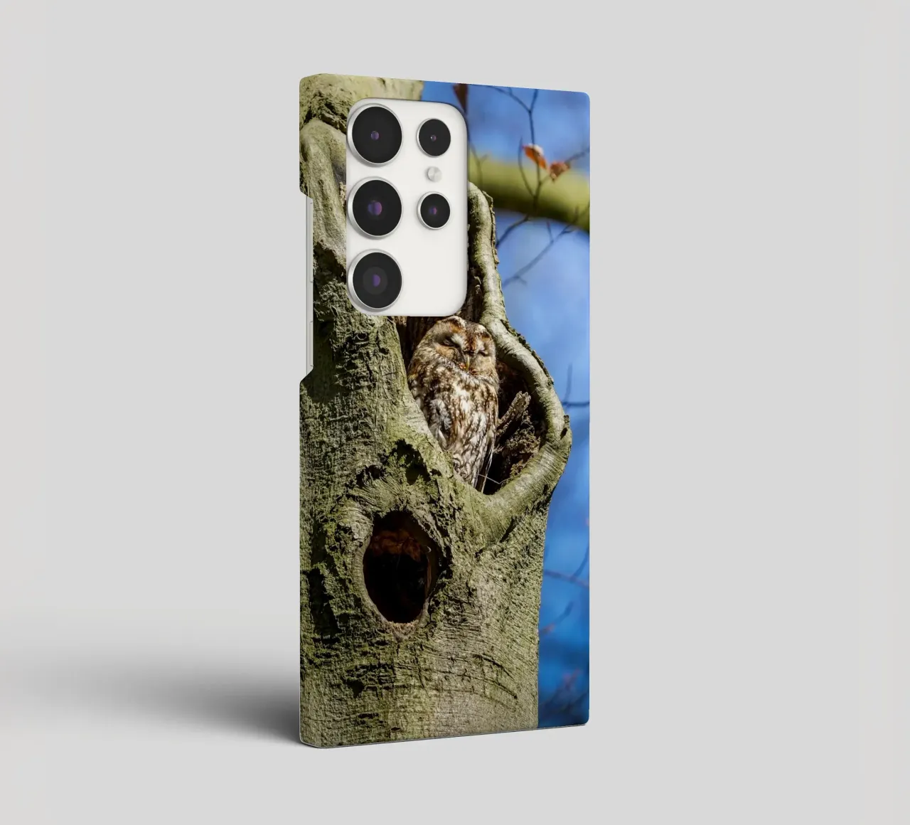 Waldkauz Samsung Hülle von Tom's Wildlife