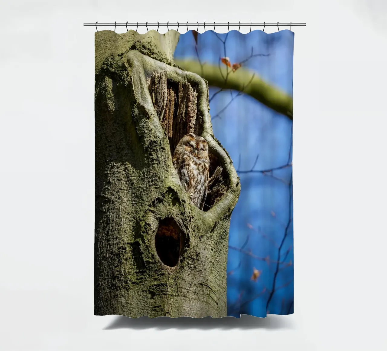 Allocco tenda da doccia da Tom's Wildlife