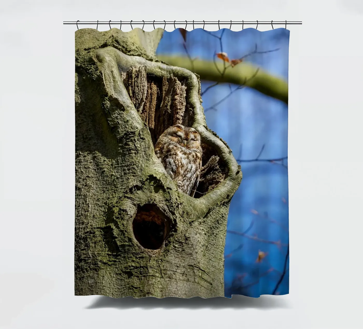 Allocco tenda da doccia da Tom's Wildlife