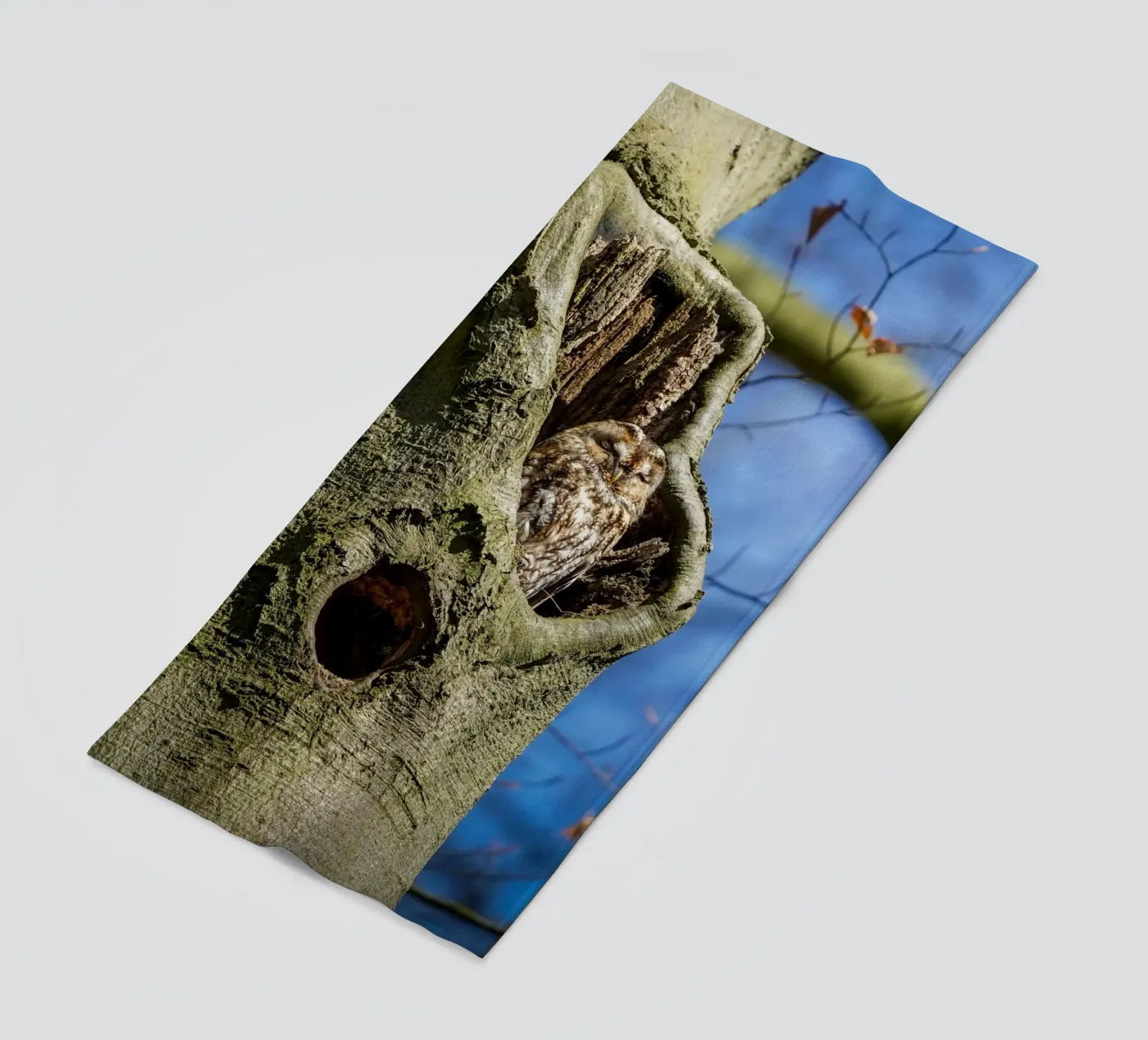 Allocco telo mare da Tom's Wildlife