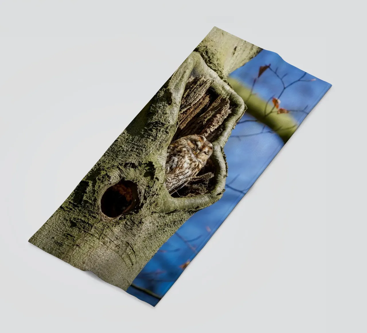 Waldkauz Strandtuch von Tom's Wildlife