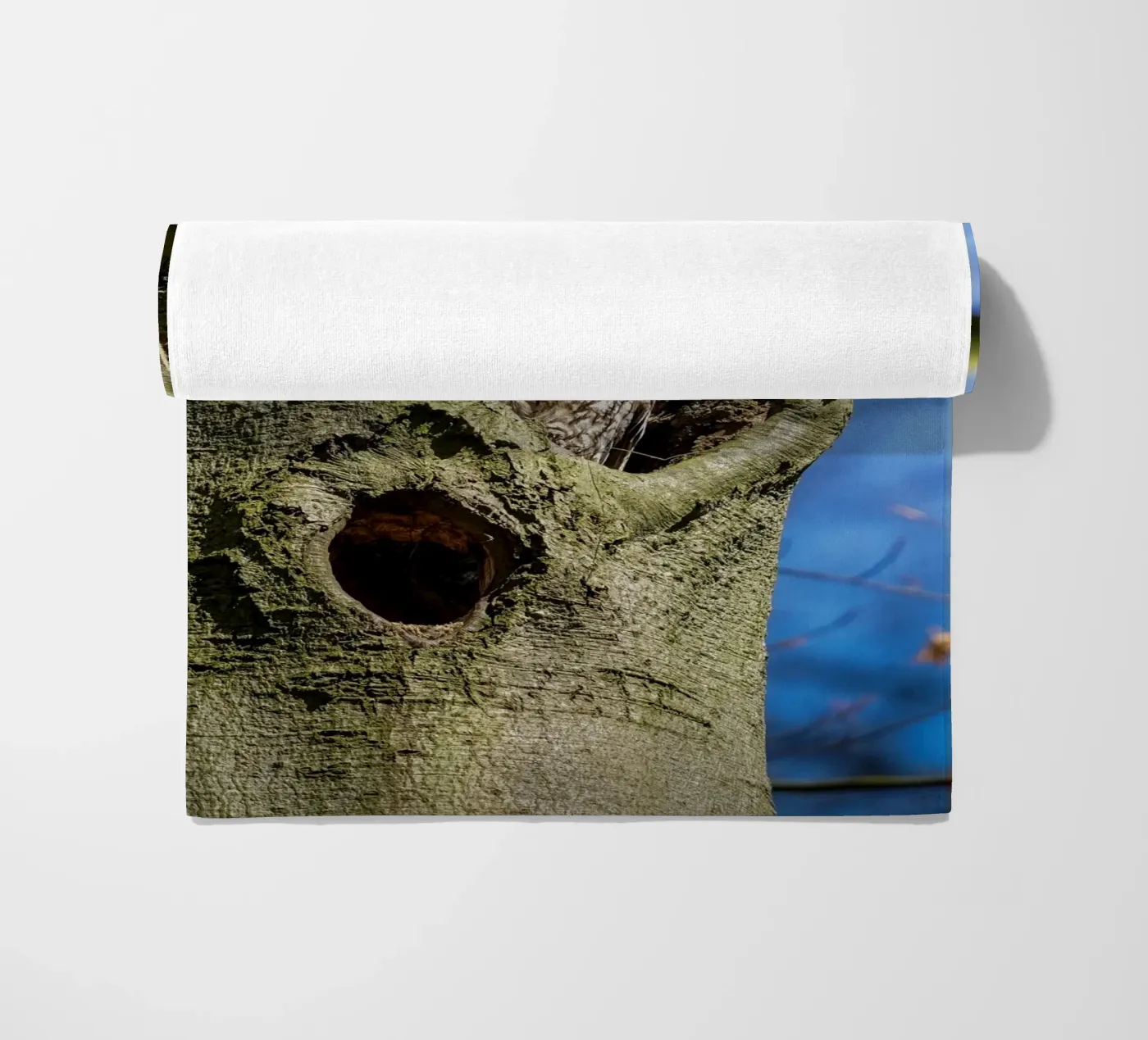 Allocco telo mare da Tom's Wildlife