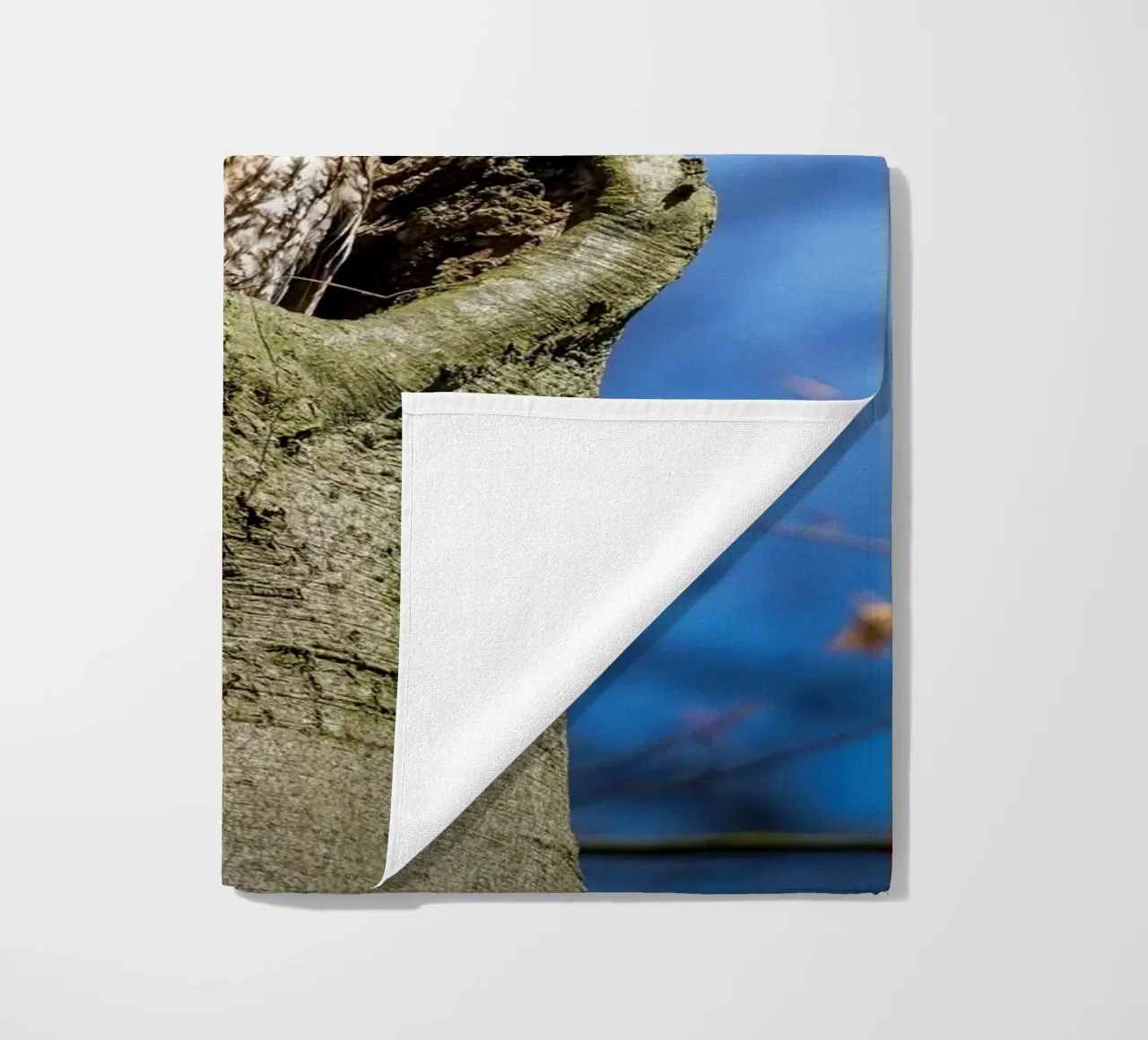 Waldkauz Strandtuch von Tom's Wildlife