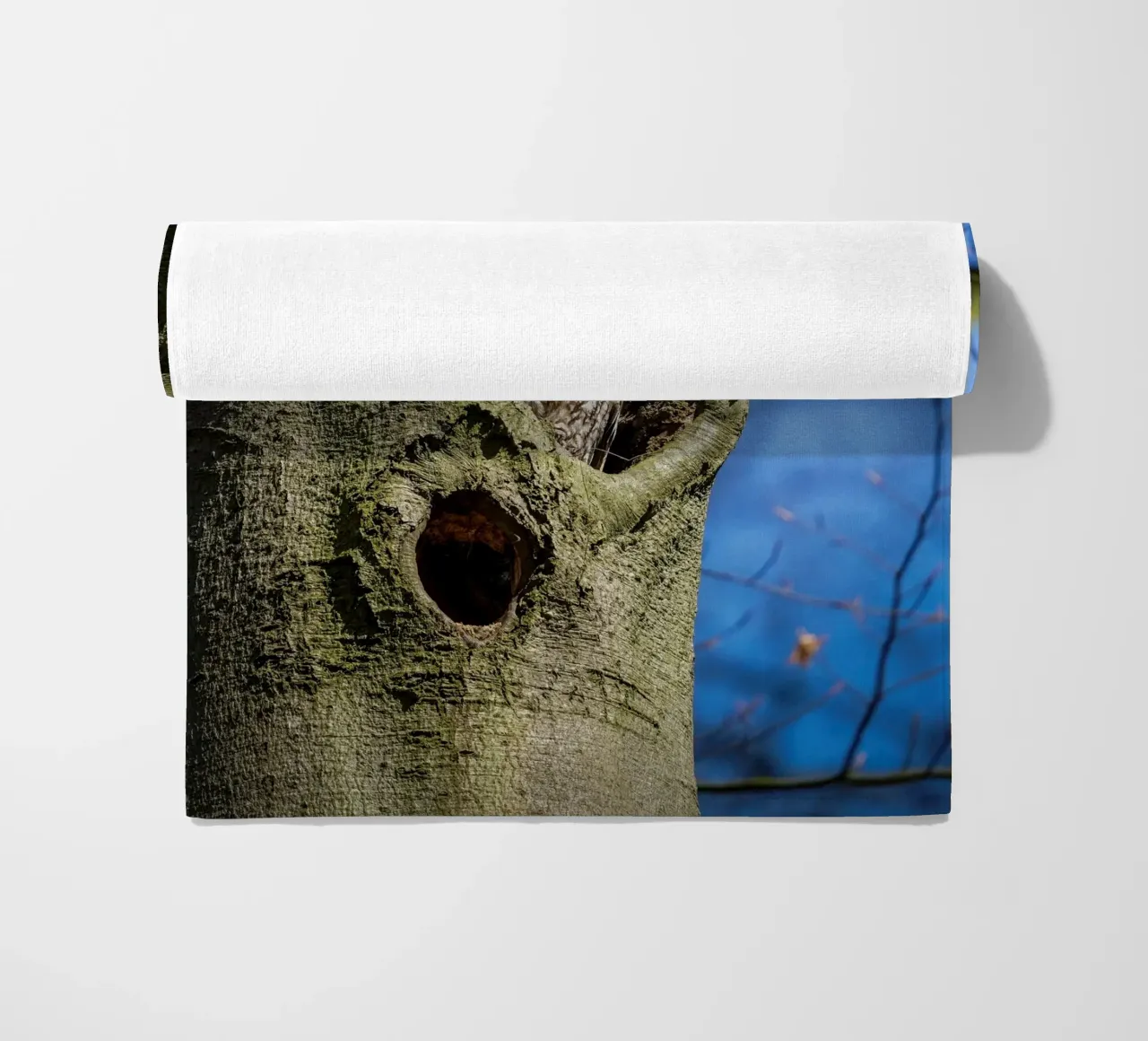 Waldkauz Strandtuch von Tom's Wildlife