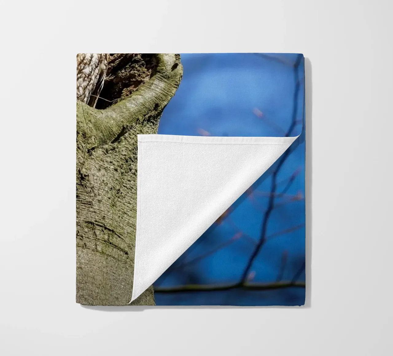 Waldkauz Strandtuch von Tom's Wildlife