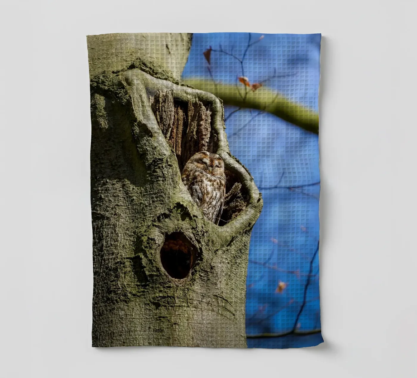 Allocco canovaccio da cucina da Tom's Wildlife