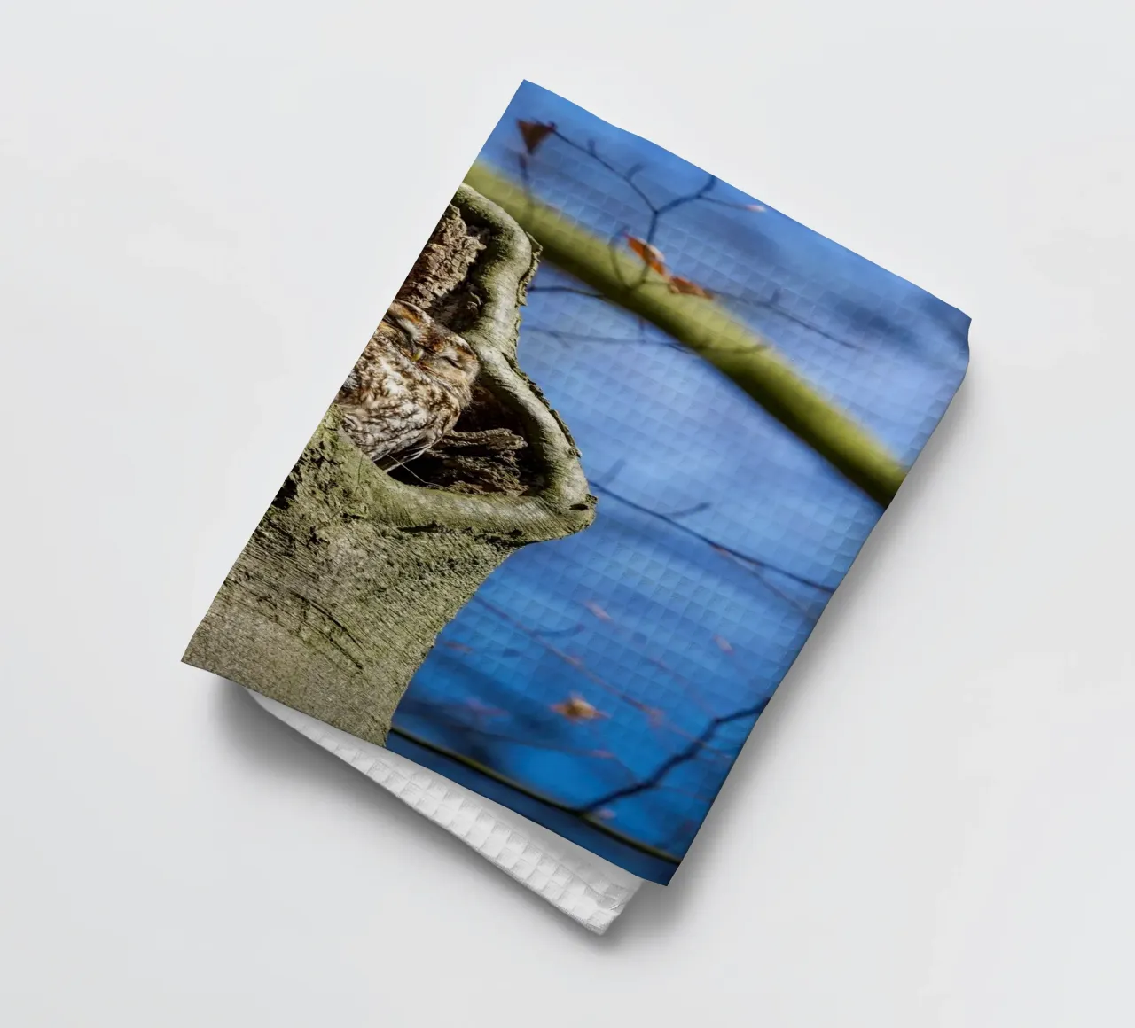 Allocco canovaccio da cucina da Tom's Wildlife