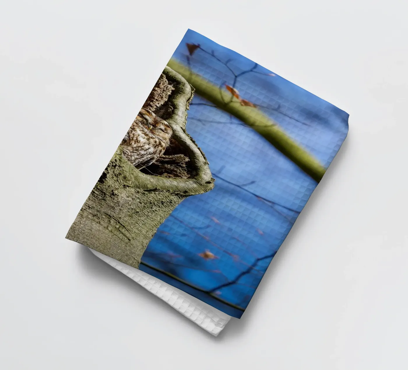 Allocco canovaccio da cucina da Tom's Wildlife