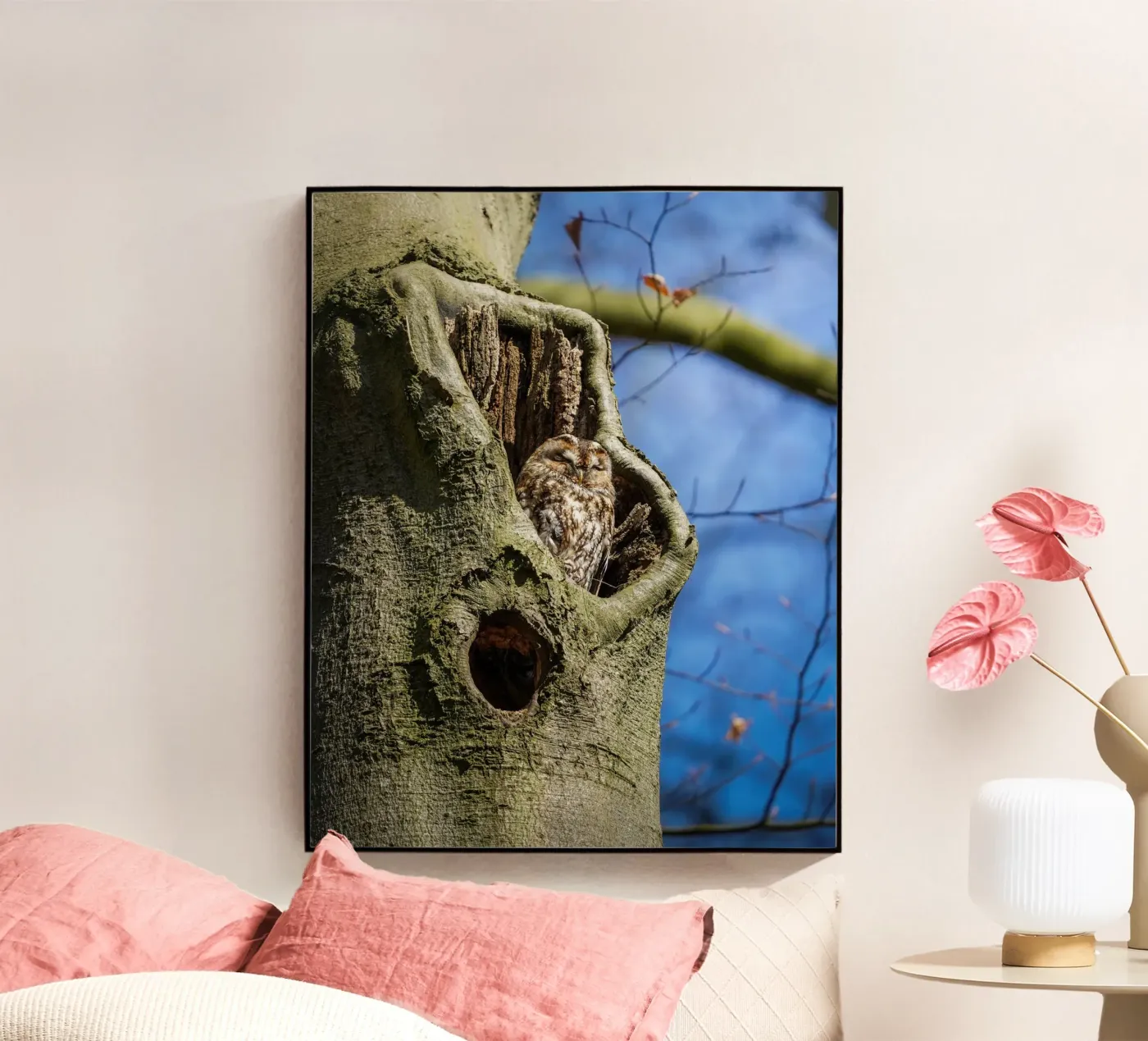 Allocco plexiglass da Tom's Wildlife